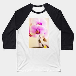 Phalaenopsis Hinamatsuri 'Blushing Bride' (C007/3241) Baseball T-Shirt